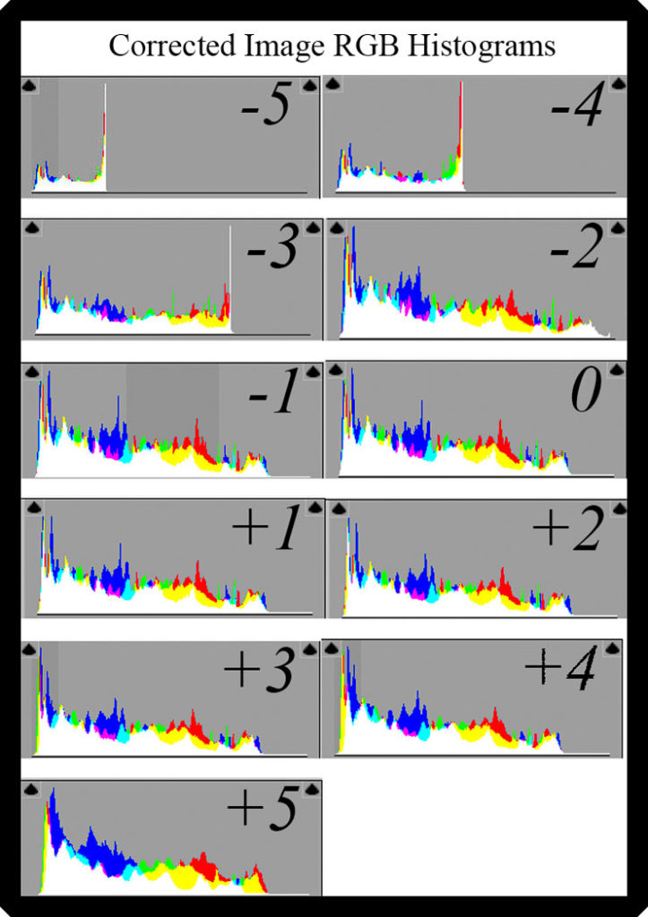 Corrected-Image RGB Histograms